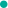 打造高效流量引擎：百度蜘蛛池助力网站快速崛起